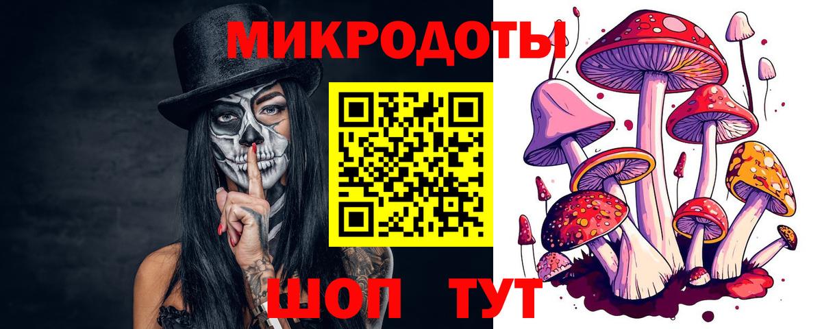 Галлюциногенные грибы GOLDEN TEACHER  Вход с VPN  Бийск 